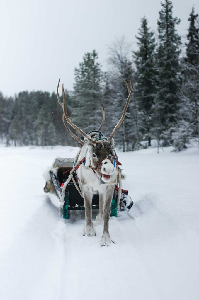 Partez en finlande