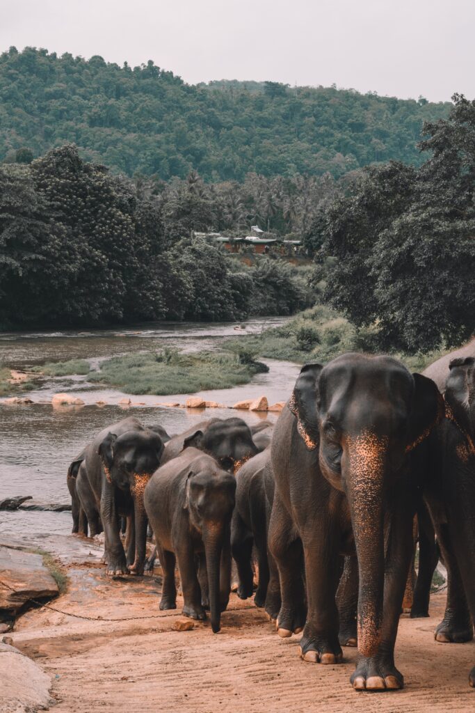 Sri Lanka