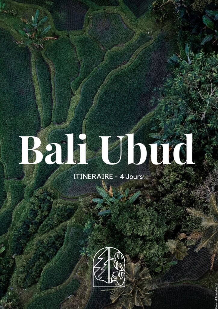 Voyage à Bali Ubud